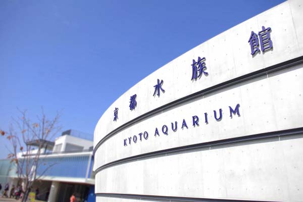 写真　京都水族館